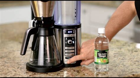 clean ninja coffee maker with water